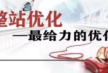 整站优化、降权恢复、爆词库、涨收录服务-HU网络