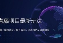 百度百青藤项目玩法全套教程-HU网络