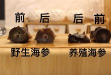 海参的好坏如何鉴别(主要有以下几招)-HU网络